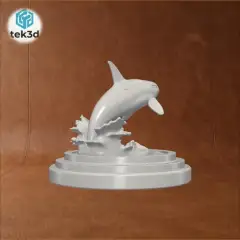 jpg_frame_08.jpg