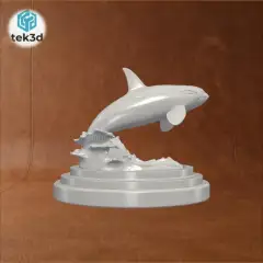 jpg_frame_12.jpg