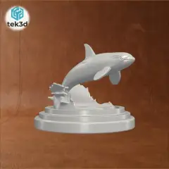 jpg_frame_16.jpg