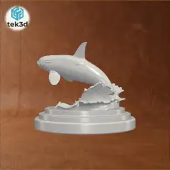 jpg_frame_32.jpg