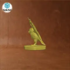 jpg_frame_00.jpg