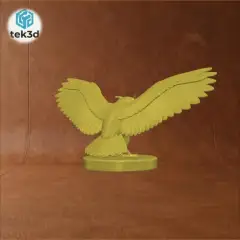 jpg_frame_12.jpg