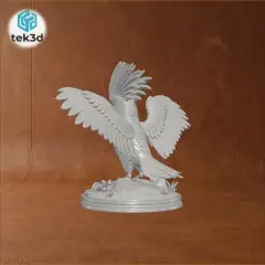 jpg_frame_04.jpg