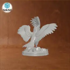 jpg_frame_12.jpg
