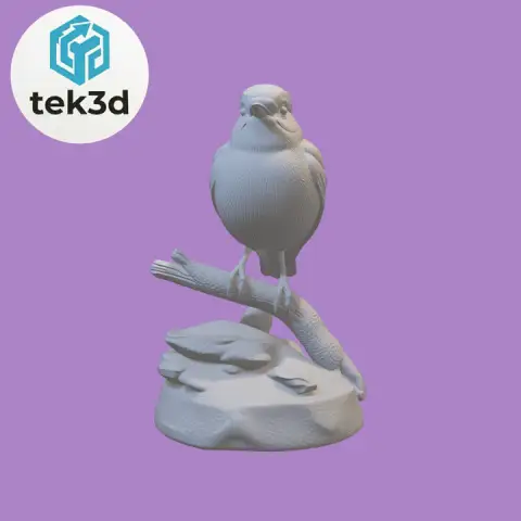 Pink Robin: Delicate Songbird Collectible 3D Model