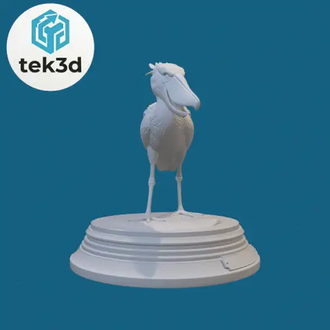 Shoebill: The Prehistoric Stork 3D Model
