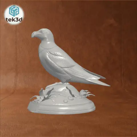 Razorbill: Coastal Guardian 3D Model