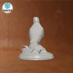 jpg_frame_08.jpg