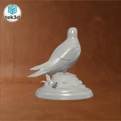 jpg_frame_12.jpg