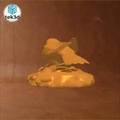 jpg_frame_00.jpg