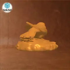 jpg_frame_04.jpg
