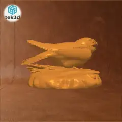 jpg_frame_08.jpg