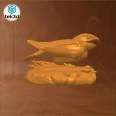 jpg_frame_12.jpg