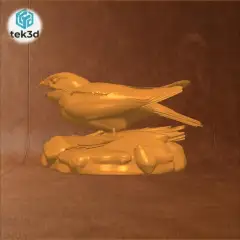 jpg_frame_28.jpg