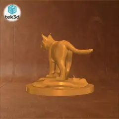 jpg_frame_00.jpg