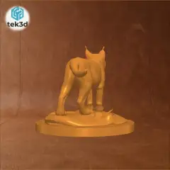 jpg_frame_04.jpg