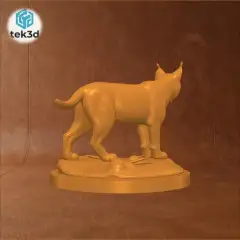 jpg_frame_08.jpg