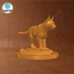 jpg_frame_16.jpg