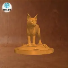 jpg_frame_20.jpg