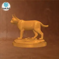 jpg_frame_28.jpg