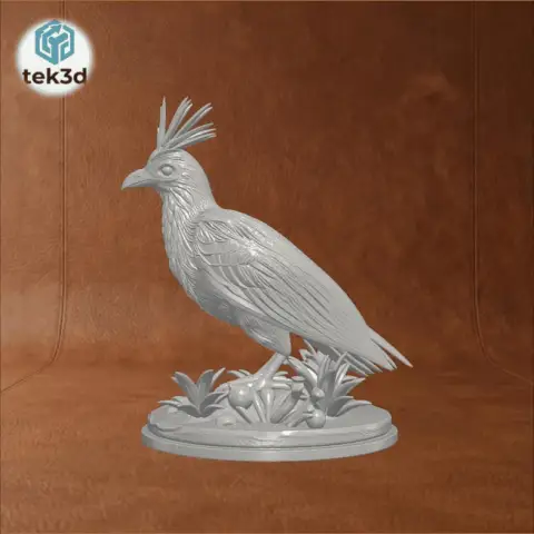 The Hoatzin: A Living Fossil Diorama 3D Model
