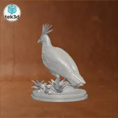 jpg_frame_04.jpg
