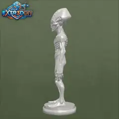 jpg_frame_00.jpg