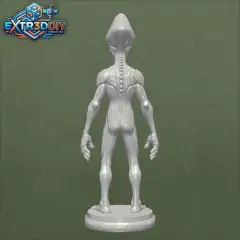 jpg_frame_08.jpg
