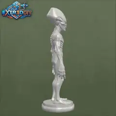 jpg_frame_16.jpg