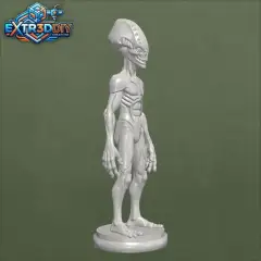 jpg_frame_20.jpg