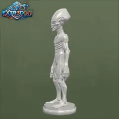 jpg_frame_32.jpg