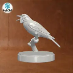 jpg_frame_04.jpg