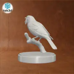 jpg_frame_08.jpg