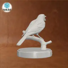 jpg_frame_16.jpg