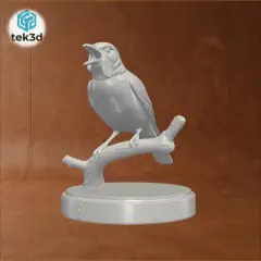 jpg_frame_32.jpg