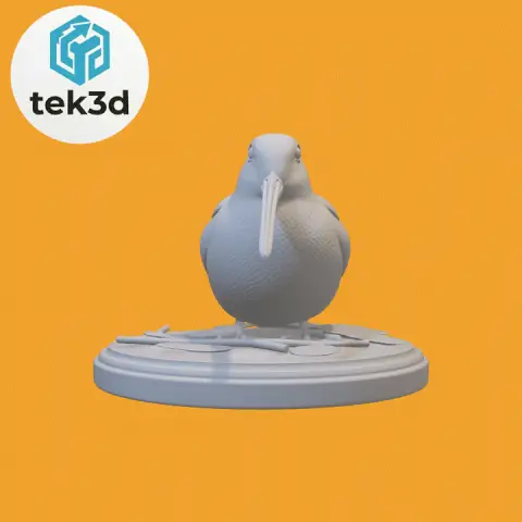 Woodcock: Forest’s Hidden Spirit 3D Model