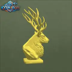 jpg_frame_16.jpg