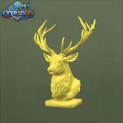 jpg_frame_28.jpg