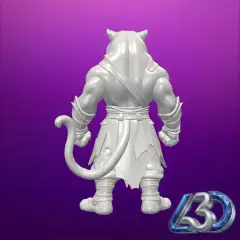 jpg_frame_08.jpg
