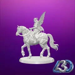 jpg_frame_08.jpg