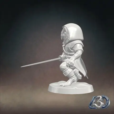 Owlin Assassin