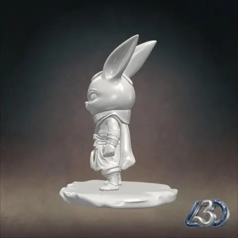 The Mist-Born Rabbitfolk Monk