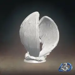 jpg_frame_20.jpg