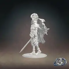 Kaelen The Exiled Wanderer_y.gif
