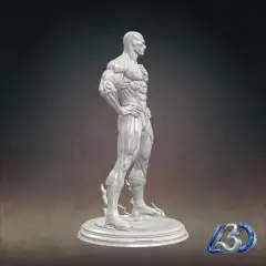 jpg_frame_16.jpg