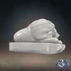 jpg_frame_12.jpg