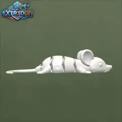 jpg_frame_08.jpg