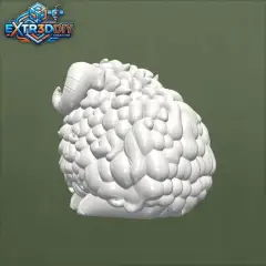 jpg_frame_04.jpg