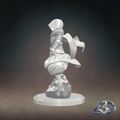 Shadow Assassin