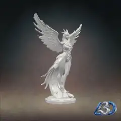 jpg_frame_12.jpg